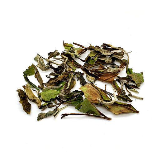 White Dragon - Bai Mu Dan